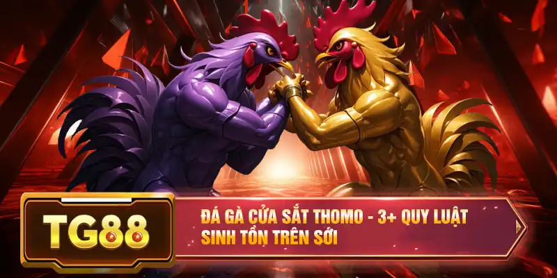 Đá Gà Cửa Sắt Thomo - 3+ Quy Luật Sinh Tồn Trên Sới